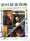 农村致富指南
