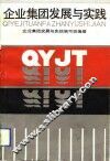 企业集团发展与实践