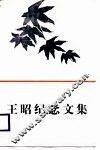 王昭纪念文集
