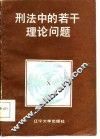 刑法中的若干理论问题
