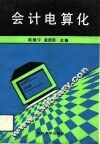 会计电算化