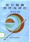 会计报表合并与评价