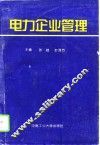 电力企业管理