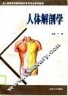 人体解剖学