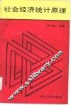 社会经济统计原理