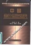中国会计理论研究