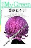 菊花12个月  流行品种栽培要诀