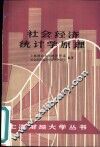 社会经济统计学原理