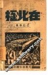 在北极