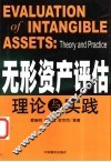 无形资产评估理论与实践