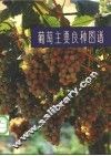 葡萄主要良种图谱