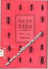 华北天牛及其防治