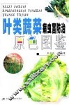 叶类蔬菜病虫害防治原色图鉴