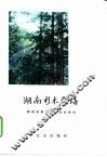 湖南杉木栽培