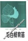 毛白杨育苗