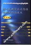 煤与瓦斯突出危险性预测及防治技术