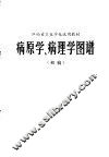 病原学、病理学图谱  初稿