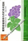 葡萄密植栽培与冬贮技术图解