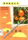 柑桔栽培