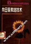 向日葵栽培技术