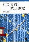 社会经济统计原理