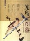 笼鸟图鉴