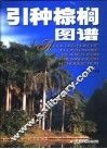 引种棕榈图谱