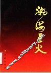 渤海星火  惠民地区战前党史资料集