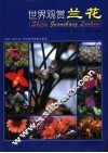世界观赏兰花