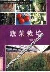蔬菜栽培