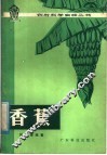 香蕉