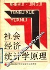 社会经济统计学原理