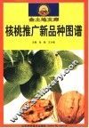 核桃推广新品种图谱