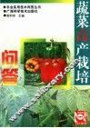 蔬菜高产栽培问答