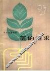 美的追求