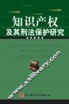 知识产权及其刑法保护研究