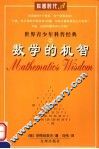 数学的机智