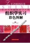 组织学实习彩色图解