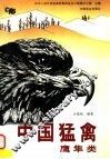 中国猛禽  鹰隼类