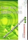 Visual Basic 6.0实践指导与习题集