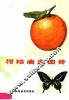 柑桔病虫图册