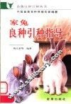 家兔良种引种指导