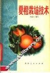 夏橙栽培技术