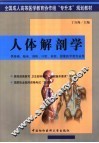 人体解剖学
