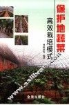 保护地蔬菜高效栽培模式