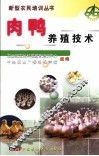 肉鸭养殖技术