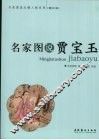 名家图说贾宝玉  图文版