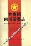 共青团四川省委志