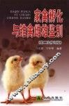 家禽孵化与雏禽雌雄鉴别