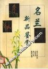 名兰新品鉴赏